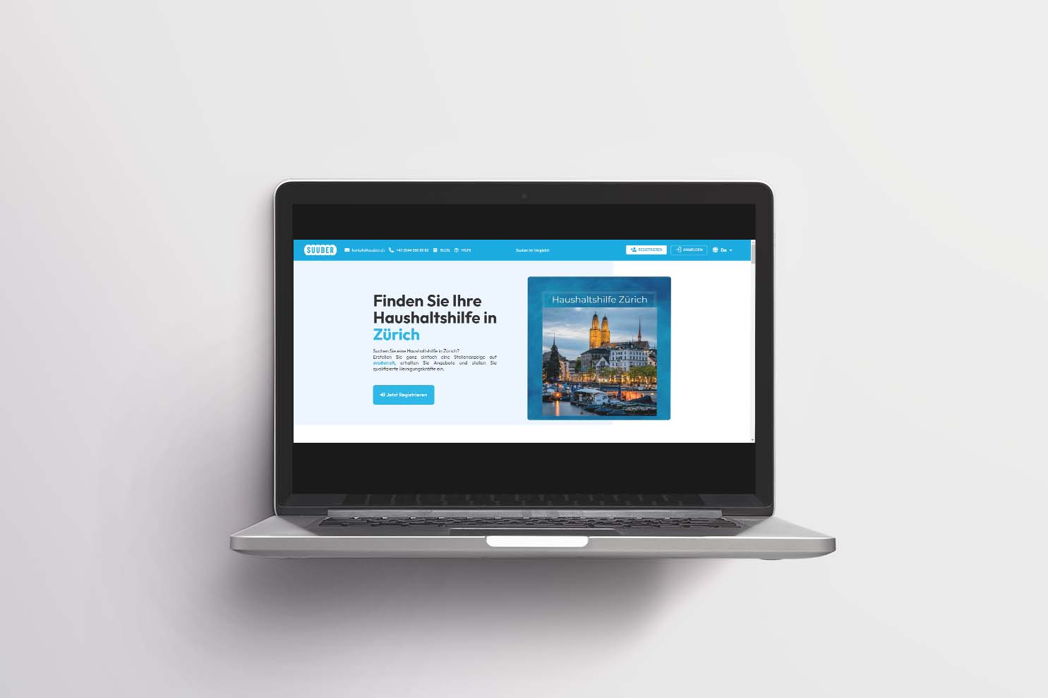 Project Suuber.ch Landing Pages